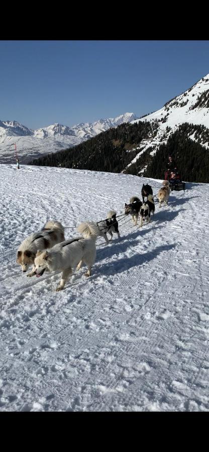 Bel Appartement Ski Aux Pieds Plagne Bellecote La Plagne Esterno foto